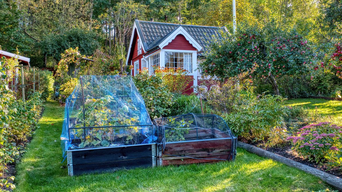Creating a Productive Kitchen Garden in Limited Space