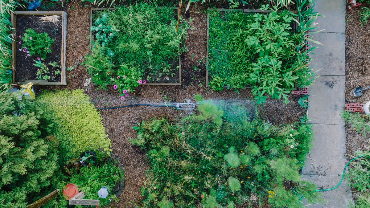 Creating Woodland Pathways That Stay Dry and Safe