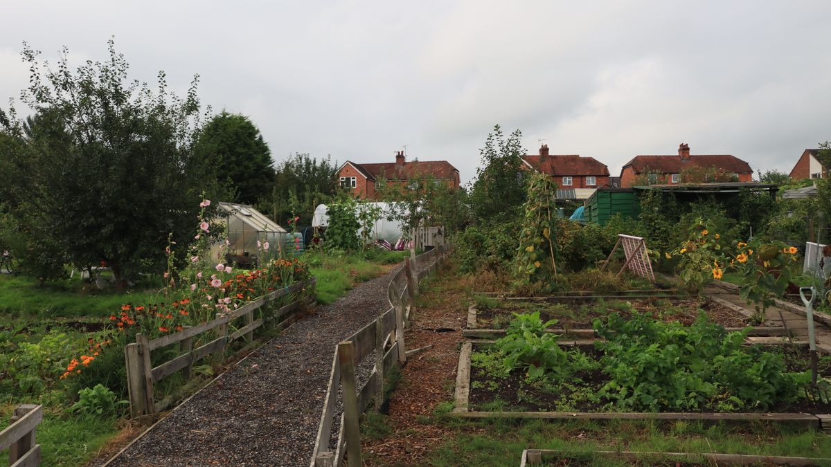 How to Make the Most of a Tiny Back Garden