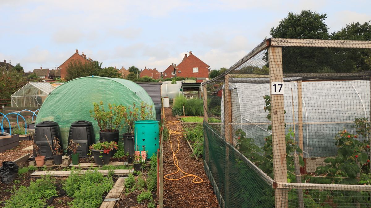 Keeping Allotment Paths Clear Through Wet British Winters