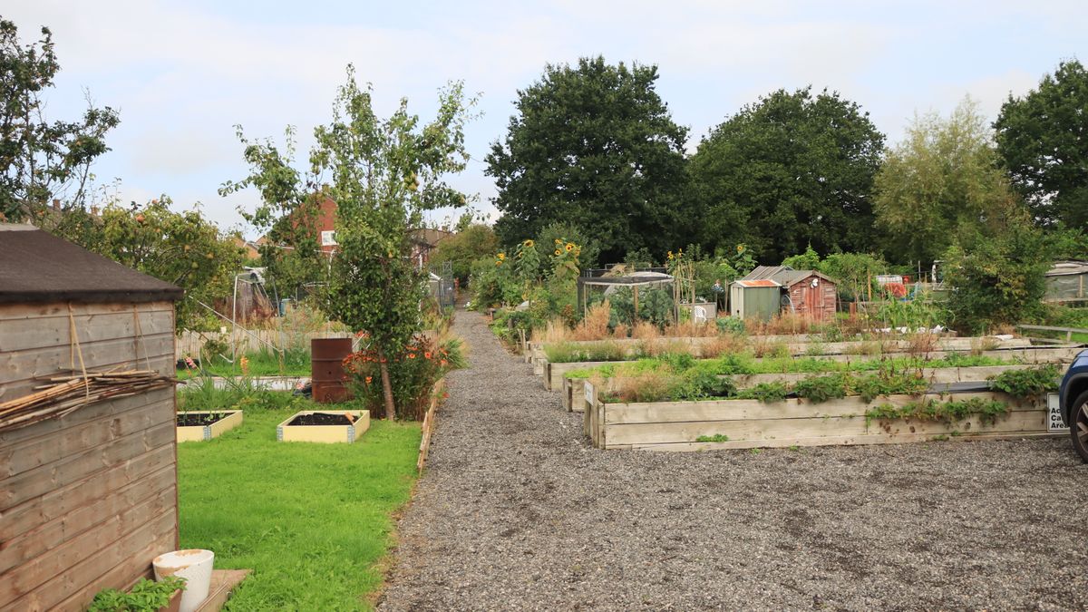 Starting a New Allotment Plot Without Feeling Overwhelmed