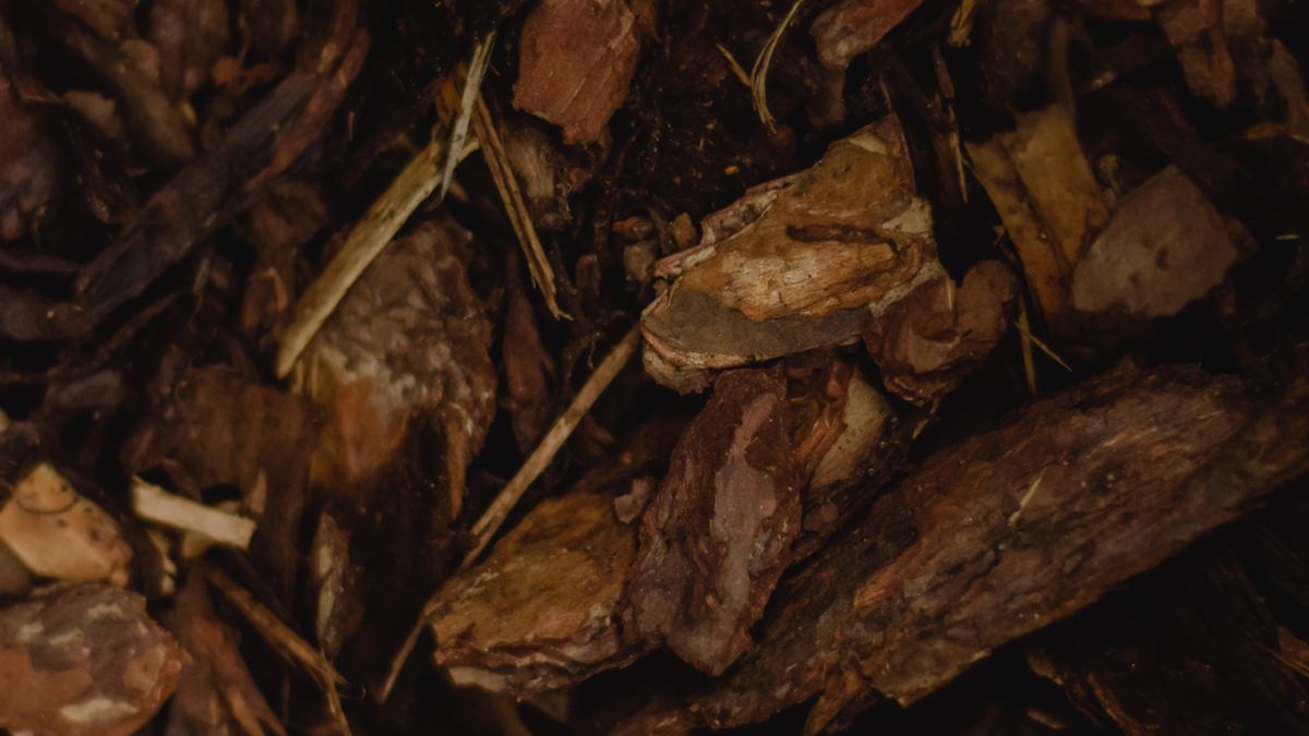 Troubleshooting a Slow or Smelly Compost Heap